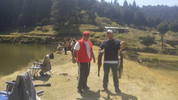 12804684_567567046727607_1688303228615647388_n (1).jpg